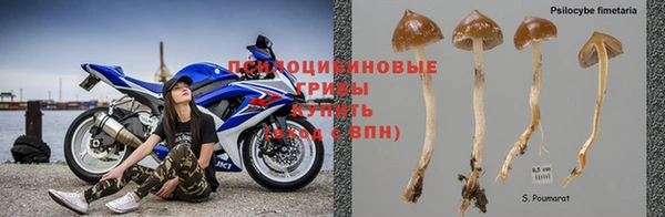 марихуана Гусиноозёрск
