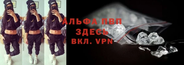метадон Гусь-Хрустальный