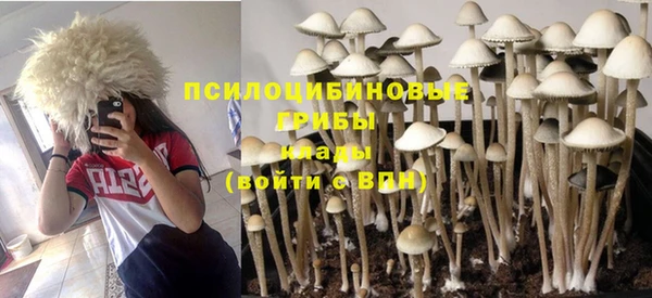 экстази Гусев