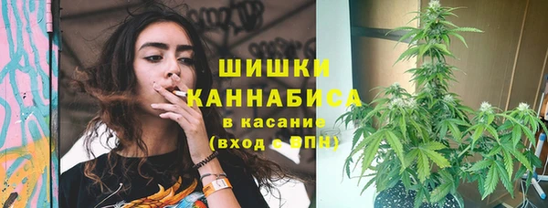 метадон Гусь-Хрустальный