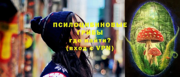 экстази Гусев